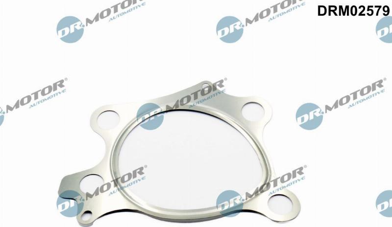 Dr.Motor Automotive DRM02579 - Garnitura, racord evacuare aaoparts.ro