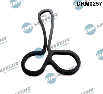 Dr.Motor Automotive DRM0257 - Etansare, racire ulei aaoparts.ro