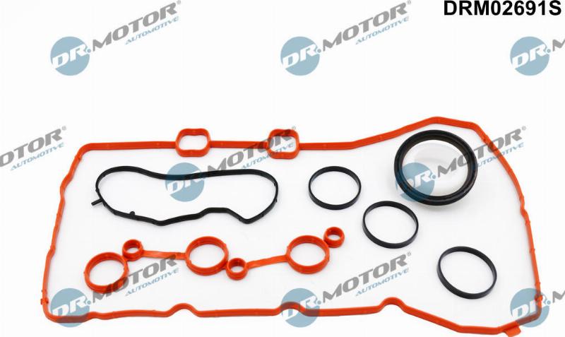 Dr.Motor Automotive DRM02691S - Set garnituri, carcasa distributie aaoparts.ro