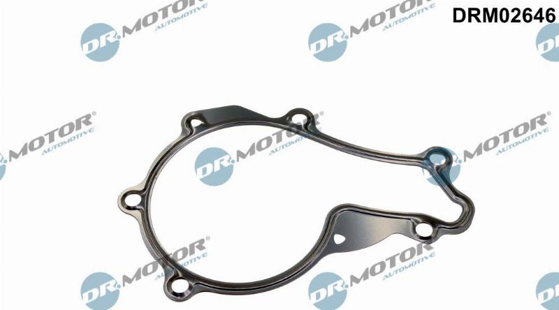 Dr.Motor Automotive DRM02646 - Garnitura, pompa de apa aaoparts.ro