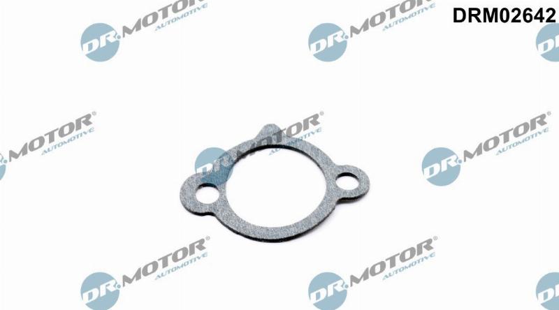 Dr.Motor Automotive DRM02642 - Garnitura, Intinzator lant de distributie aaoparts.ro