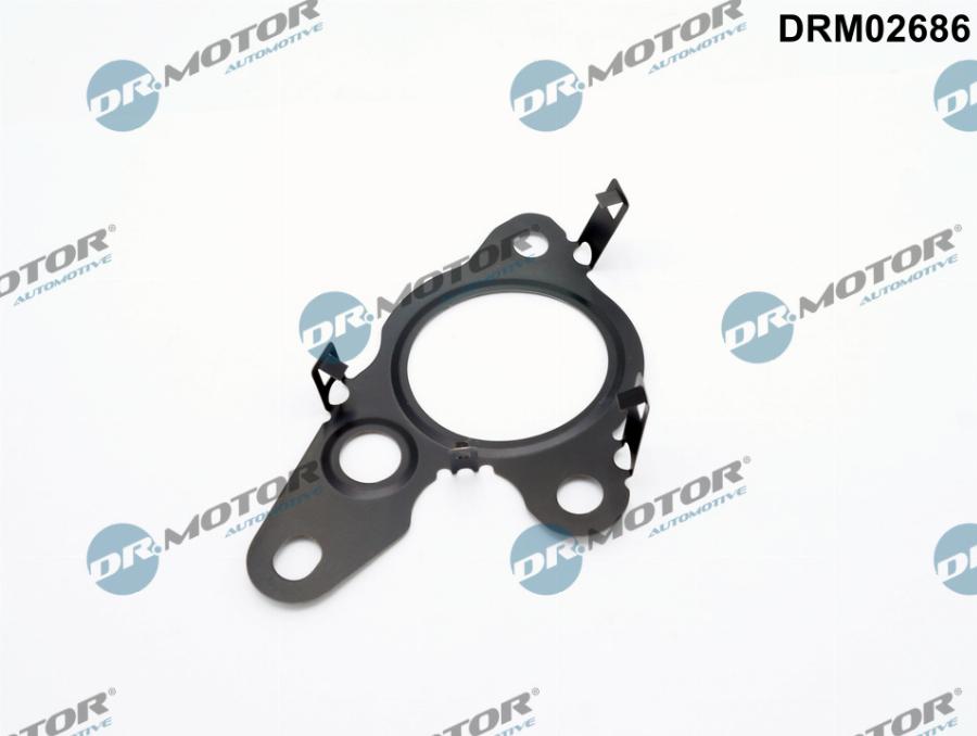 Dr.Motor Automotive DRM02686 - Garnitura, ventil AGR aaoparts.ro