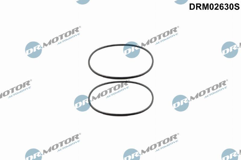 Dr.Motor Automotive DRM02630S - Set garnituri, butuc roata aaoparts.ro