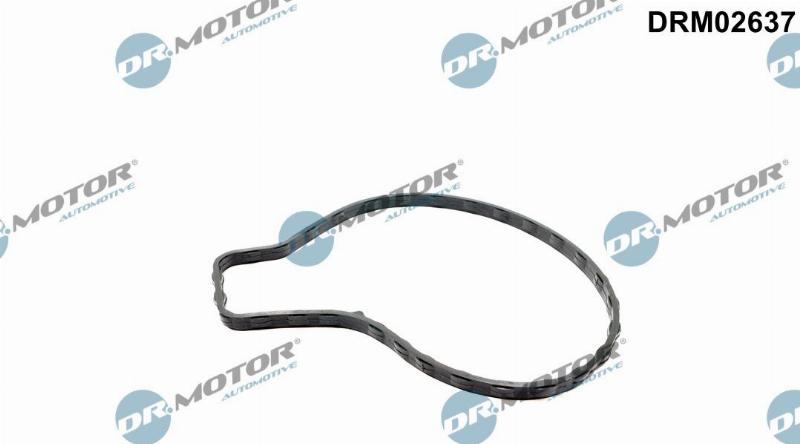 Dr.Motor Automotive DRM02637 - Garnitura, pompa de apa aaoparts.ro