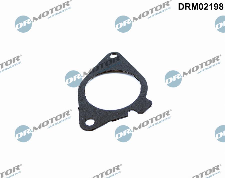 Dr.Motor Automotive DRM02198 - Garnitura, ventil AGR aaoparts.ro