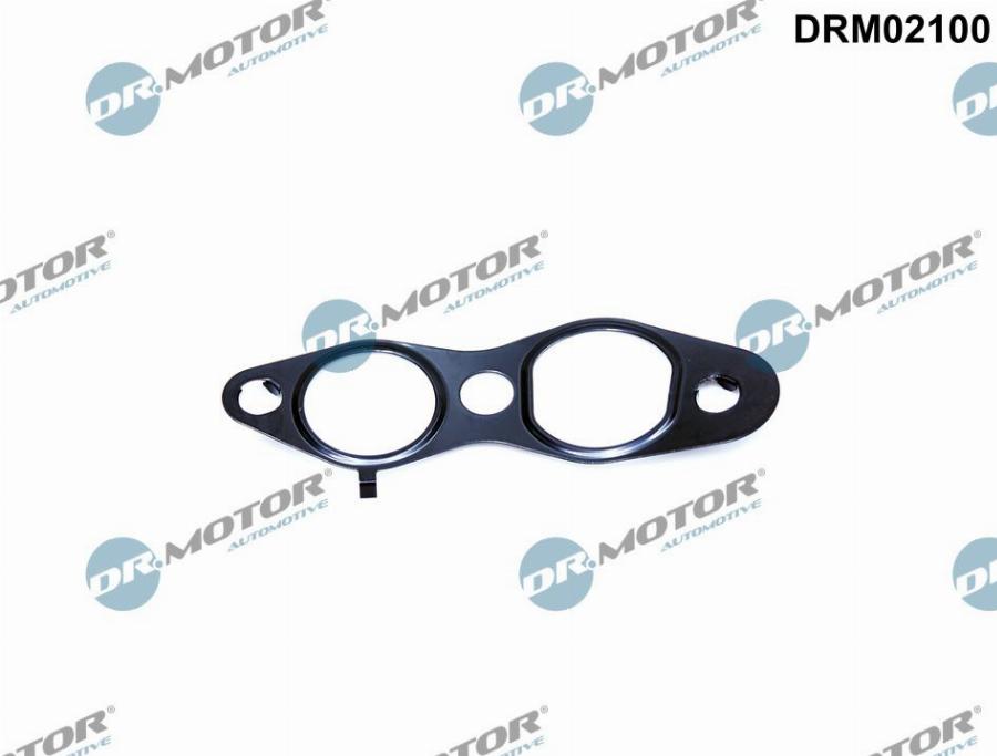 Dr.Motor Automotive DRM02100 - Garnitura, ventil AGR aaoparts.ro