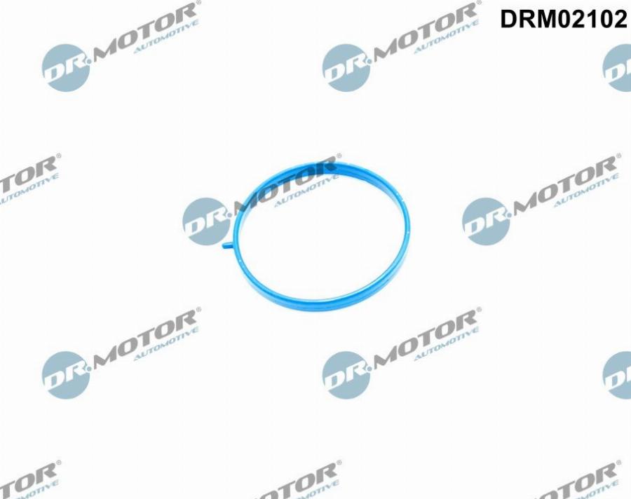 Dr.Motor Automotive DRM02102 - Garnitura, galerie admisie aaoparts.ro