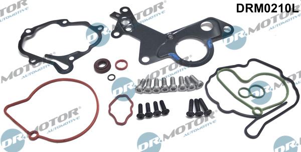 Dr.Motor Automotive DRM0210L - Set reparatie, pompa vacuum (Siste frana) aaoparts.ro