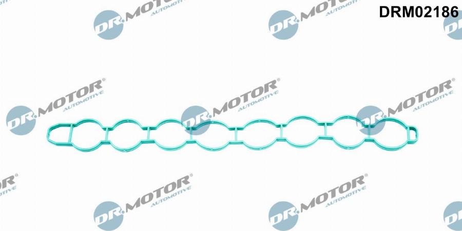 Dr.Motor Automotive DRM02186 - Garnitura, galerie admisie aaoparts.ro