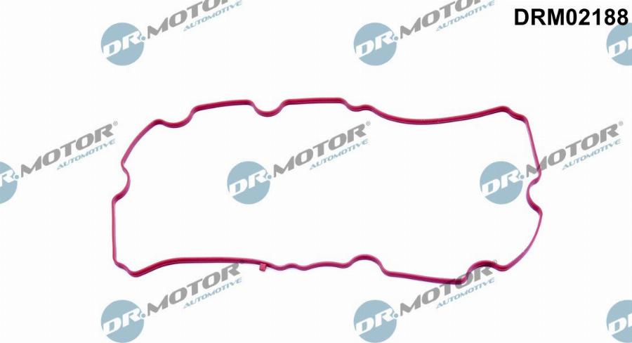 Dr.Motor Automotive DRM02188 - Garnitura, galerie admisie aaoparts.ro