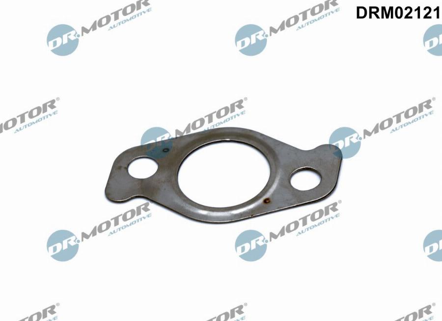 Dr.Motor Automotive DRM02121 - Garnitura, ventil AGR aaoparts.ro