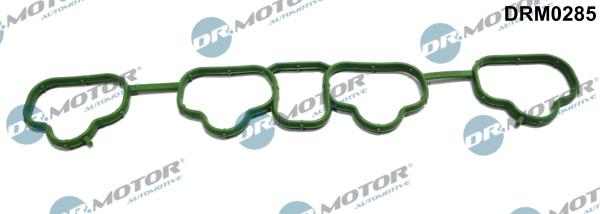 Dr.Motor Automotive DRM0285 - Garnitura, galerie admisie aaoparts.ro