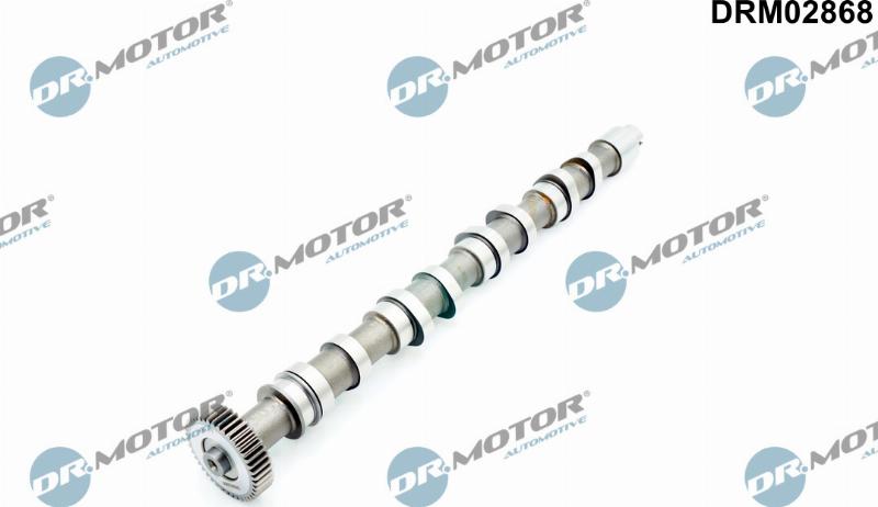 Dr.Motor Automotive DRM02868 - Ax cu came aaoparts.ro