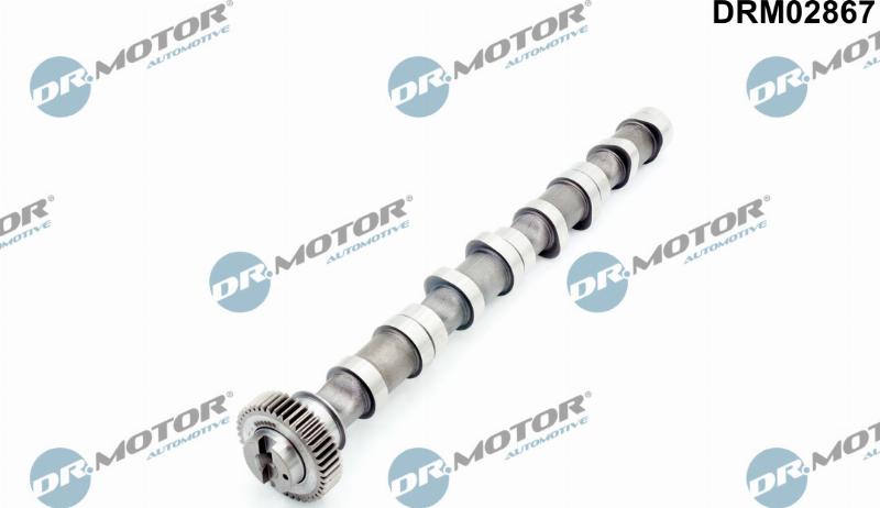Dr.Motor Automotive DRM02867 - Ax cu came aaoparts.ro