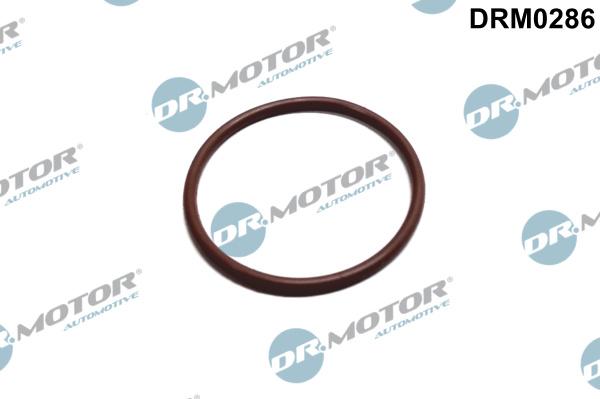 Dr.Motor Automotive DRM0286 - Garnitura, pompa combustibil aaoparts.ro