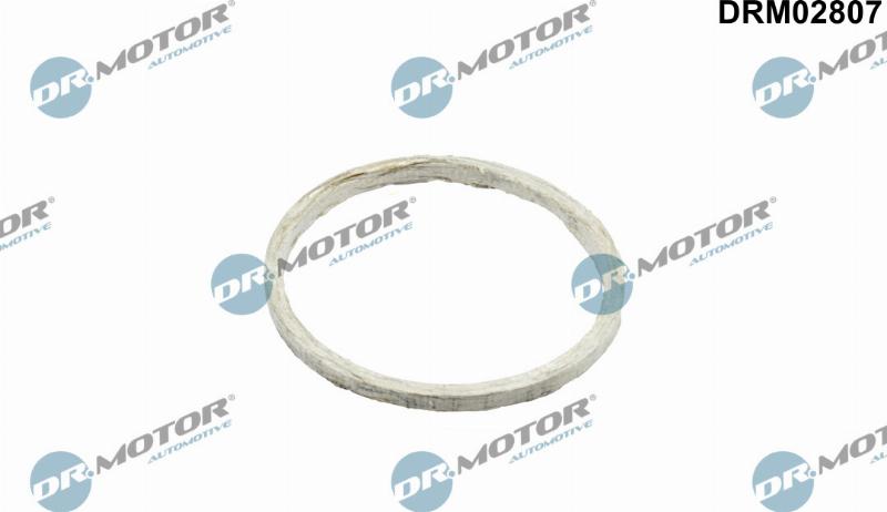 Dr.Motor Automotive DRM02807 - Garnitura, racord evacuare aaoparts.ro