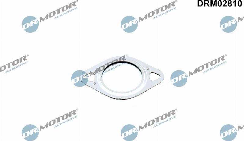 Dr.Motor Automotive DRM02810 - Garnitura, conducta supapa-AGR aaoparts.ro