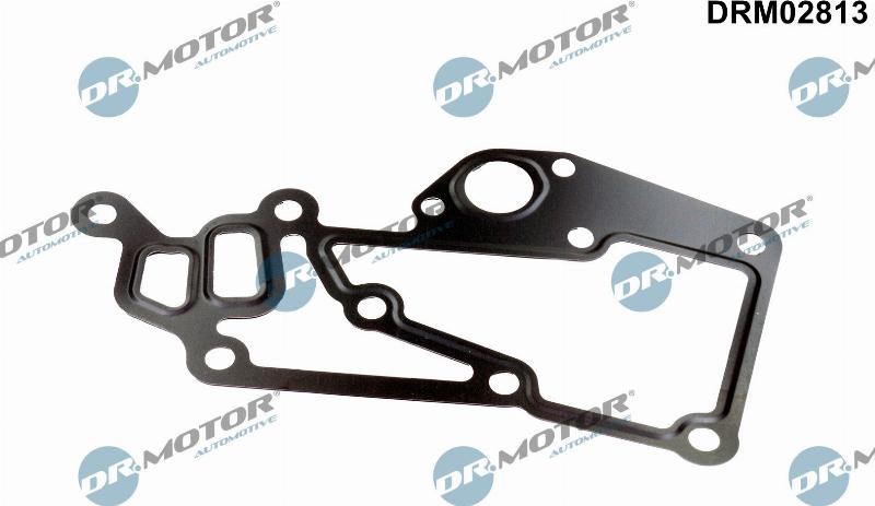 Dr.Motor Automotive DRM02813 - Garnitura, carcasa termostat aaoparts.ro