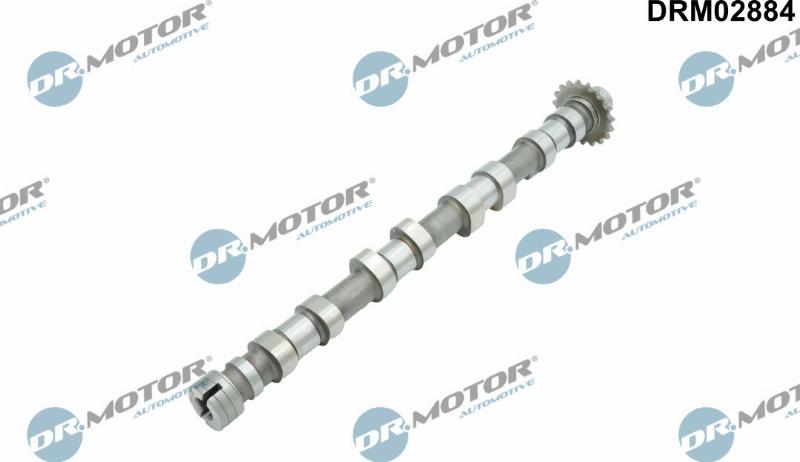 Dr.Motor Automotive DRM02884 - Ax cu came aaoparts.ro