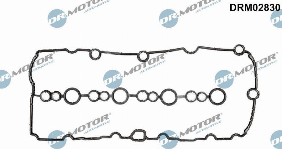 Dr.Motor Automotive DRM02830 - Garnitura, capac supape aaoparts.ro