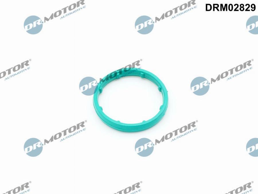 Dr.Motor Automotive DRM02829 - Etansare, racire ulei aaoparts.ro