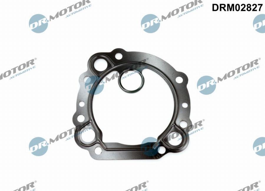 Dr.Motor Automotive DRM02827 - Garnitura, ventil AGR aaoparts.ro