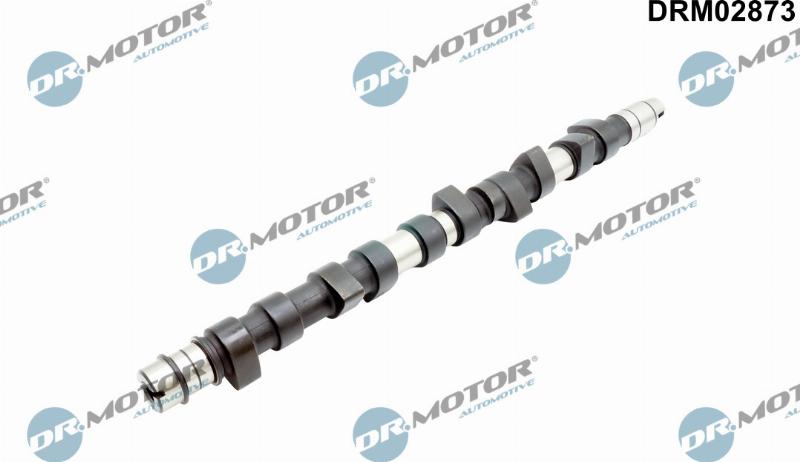 Dr.Motor Automotive DRM02873 - Ax cu came aaoparts.ro