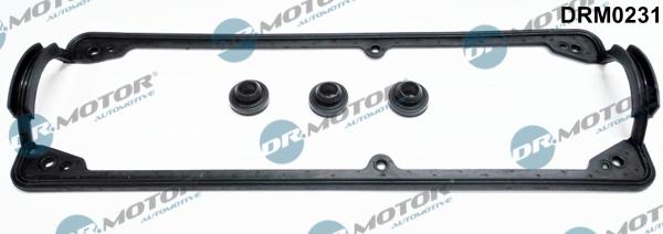 Dr.Motor Automotive DRM0231 - Set garnituri, Capac supape aaoparts.ro