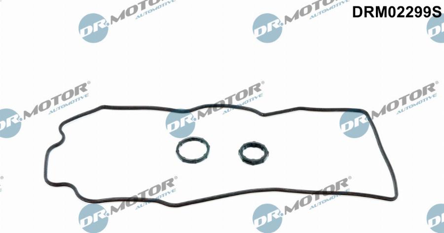 Dr.Motor Automotive DRM02299S - Garnitura, distributie aaoparts.ro