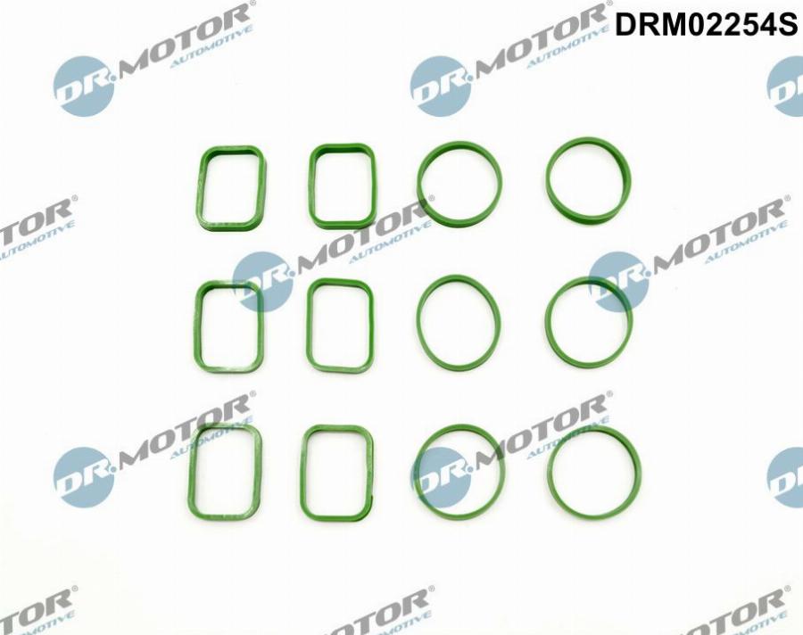 Dr.Motor Automotive DRM02254S - Set garnituri, galerie admisie aaoparts.ro