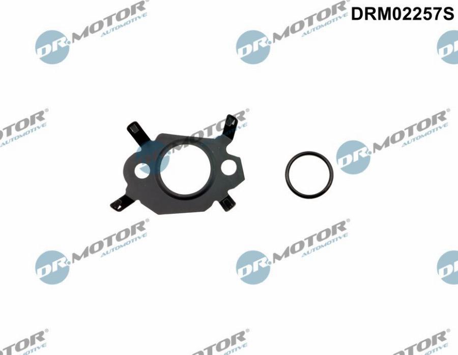 Dr.Motor Automotive DRM02257S - Set garnitura sistem EGR aaoparts.ro