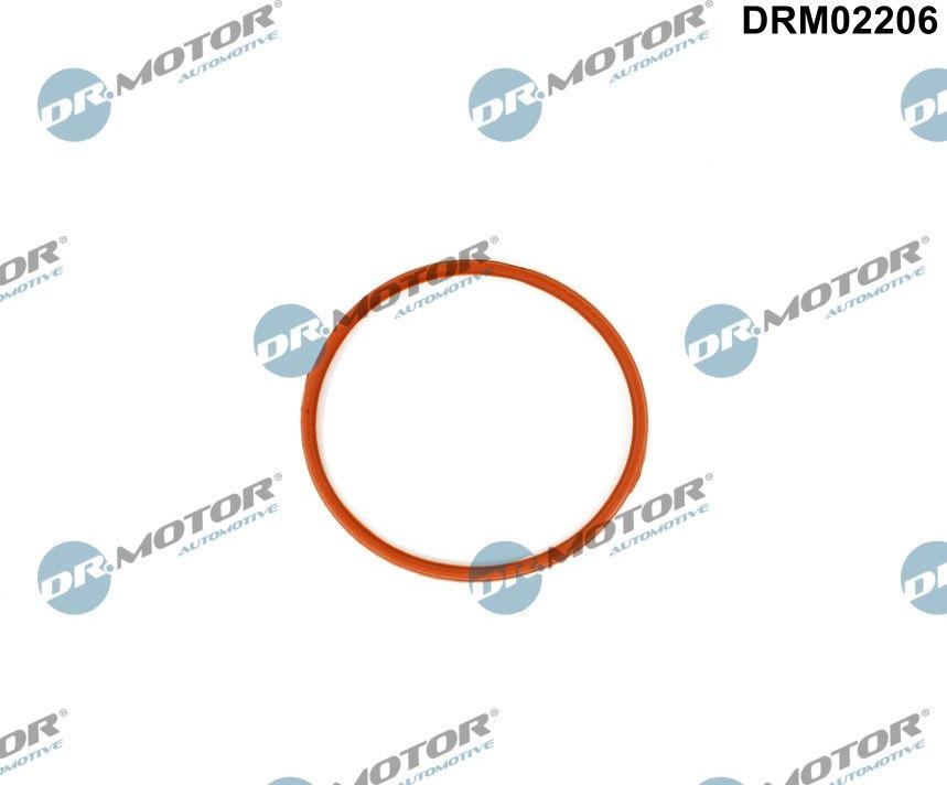 Dr.Motor Automotive DRM02206 - Garnitura, galerie admisie aaoparts.ro