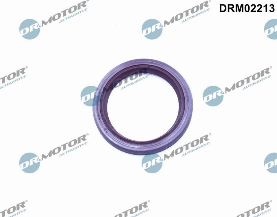 Dr.Motor Automotive DRM02213 - Simering, ax cu came aaoparts.ro