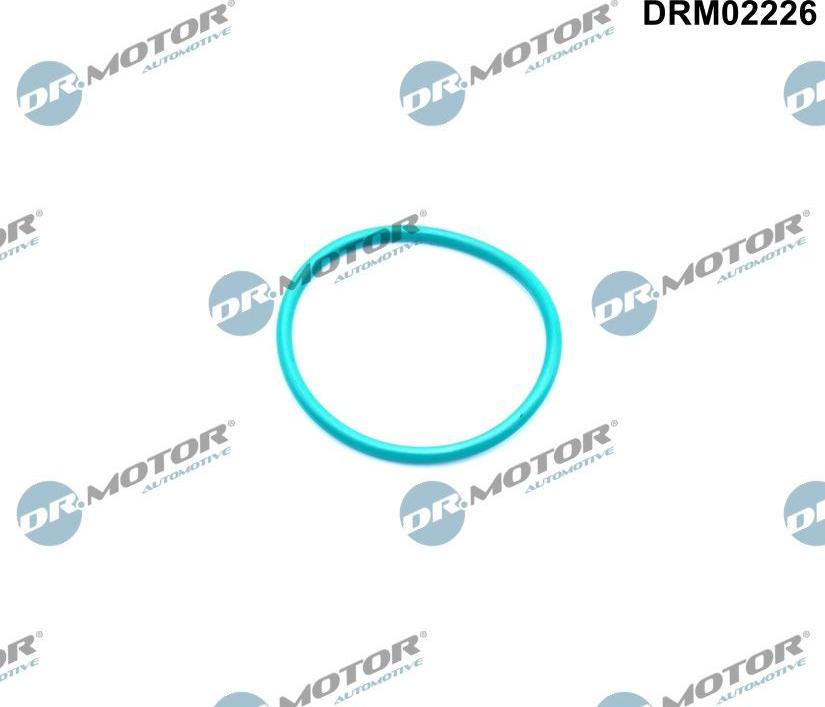 Dr.Motor Automotive DRM02226 - Garnitura, ventil AGR aaoparts.ro