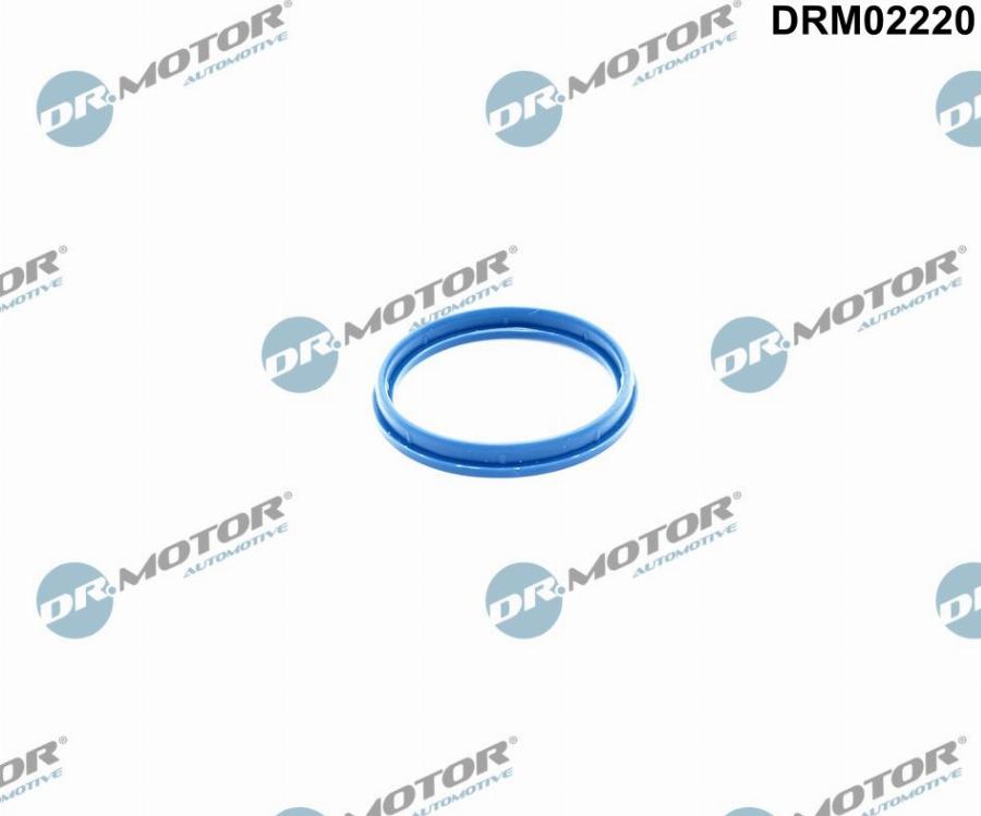 Dr.Motor Automotive DRM02220 - Garnitura, Carcasa galerie admisie aaoparts.ro