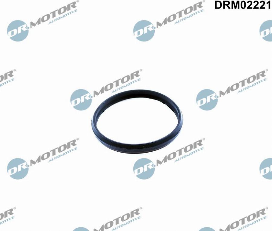 Dr.Motor Automotive DRM02221 - Garnitura, Intinzator lant de distributie aaoparts.ro