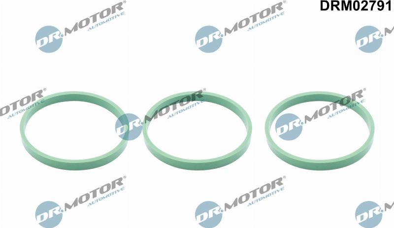 Dr.Motor Automotive DRM02791 - Garnitura, galerie admisie aaoparts.ro