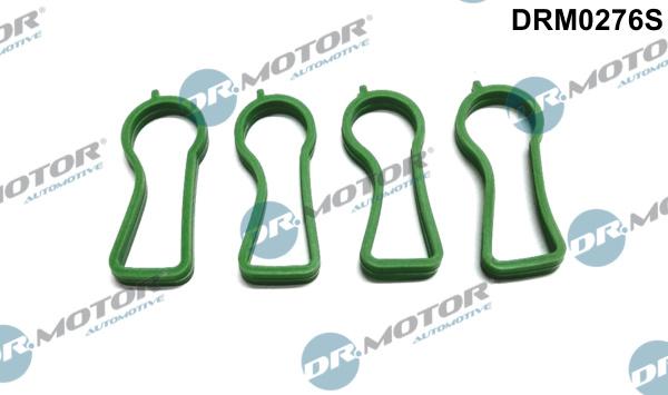 Dr.Motor Automotive DRM0276S - Set garnituri, galerie admisie aaoparts.ro