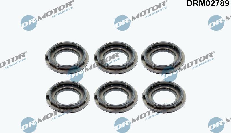 Dr.Motor Automotive DRM02789 - Garnitura, capac supape aaoparts.ro