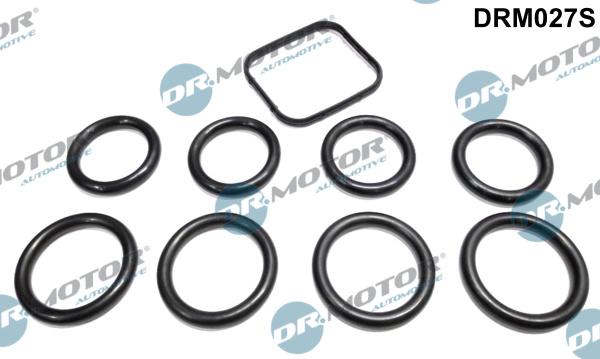 Dr.Motor Automotive DRM027S - Set garnituri, galerie admisie aaoparts.ro