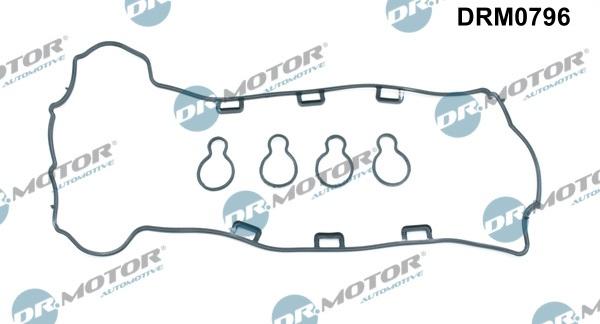 Dr.Motor Automotive DRM0796 - Garnitura, capac supape aaoparts.ro