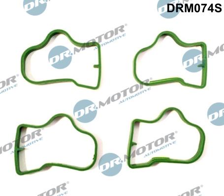 Dr.Motor Automotive DRM074S - Set garnituri, galerie admisie aaoparts.ro