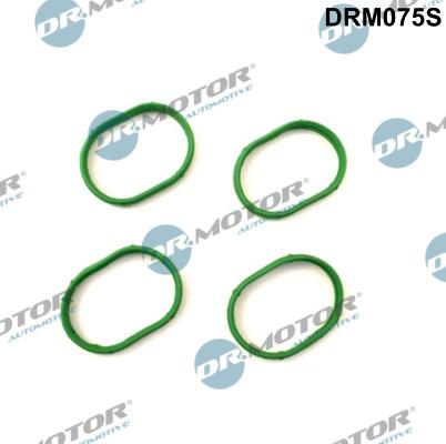 Dr.Motor Automotive DRM075S - Set garnituri, galerie admisie aaoparts.ro