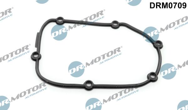 Dr.Motor Automotive DRM0709 - Garnitura, distributie aaoparts.ro