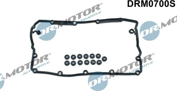 Dr.Motor Automotive DRM0700S - Set garnituri, Capac supape aaoparts.ro