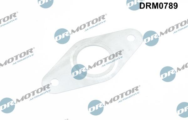 Dr.Motor Automotive DRM0789 - Garnitura, conducta supapa-AGR aaoparts.ro