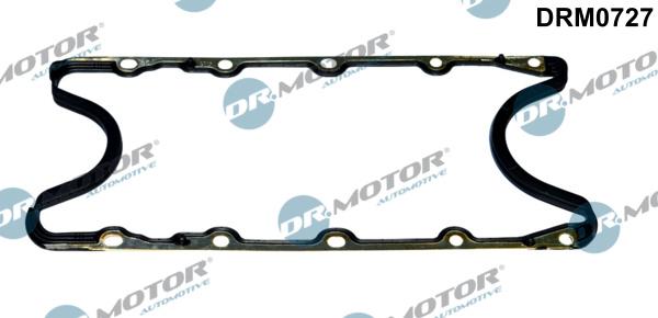 Dr.Motor Automotive DRM0727 - Garnitura baie ulei aaoparts.ro