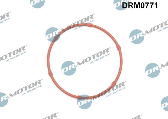 Dr.Motor Automotive DRM0771 - Etansare, pompa ulei aaoparts.ro