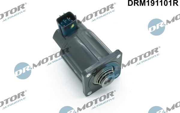 Dr.Motor Automotive DRM191101R - Supapa,control evacuare EGR aaoparts.ro