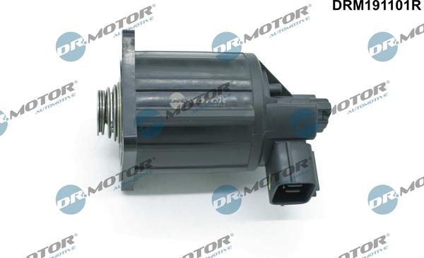 Dr.Motor Automotive DRM191101R - Supapa,control evacuare EGR aaoparts.ro